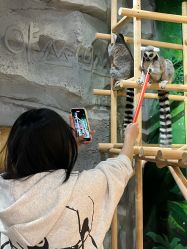 -Zoolung Zoolung动物主题公园(海信广场店)