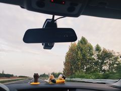 -左舞和风屋便当(金地店)