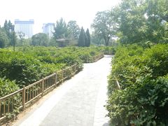 -迎泽公园