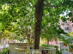 -广州神农草堂中医药博物馆