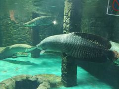 景点-威海华夏城景区