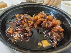子姜猪手-汇兴源餐馆(小北路店)