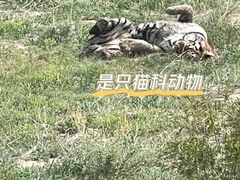 -新疆天山野生动物园