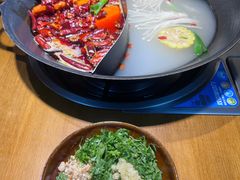 -阳阳老火锅(小南门店)