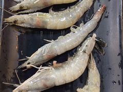 -真牛炭火烤肉(射阳店)