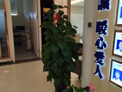 -柏乐口腔(南宁总院)