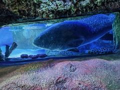 -沈阳海洋探索中心