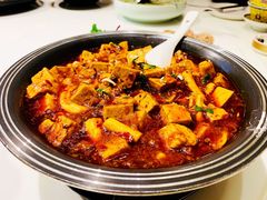 牛腩炖老豆腐-宁夏国强手抓羊肉·清真菜(未央路凤三店)