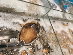 -福州西湖大酒店·怡湖咖啡厅
