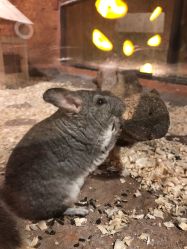 -酷嗒动物文化乐园(cutezoo西溪乐天城店)