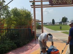 -上海长兴岛郊野公园