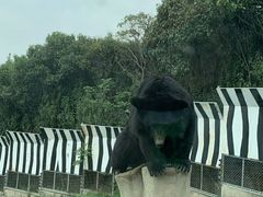 -西安秦岭野生动物园