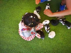 -萌宠亲子动物乐园(槐房万达店)