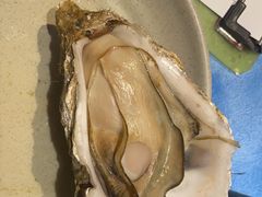 -千岛蚝高压锅生蚝·人参火锅(白云万达店)