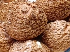 -TOUCH泰奇(奉贤宝龙城市广场店)