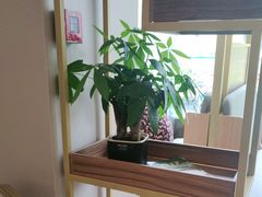 -林辉家宴·本地家常菜·头牌清远鸡(先锋店)