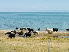 -青海湖国家重点风景名胜区