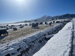 -扁都口生态休闲旅游区