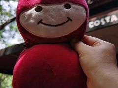 -COSTA COFFEE(西湖天地店)