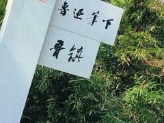 -鲁镇