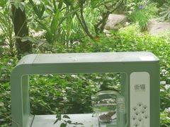 -新湖明珠城