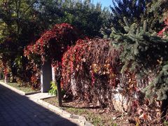 住宿-野鸭湖国家湿地公园