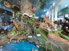 -郑州自然博物馆(惠济区)