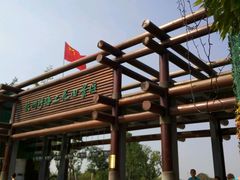 -杭州湾海上花田景区