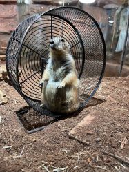 -Zoolung Zoolung动物主题公园(海信广场店)