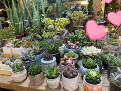 -双季花艺园艺市场(浦东店)