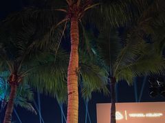 -欢乐海岸椰林沙滩-2025湾区超级灯会