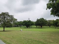 -东莞植物园