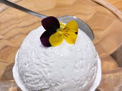 酸奶冰淇淋-隐泉之语日式料理(王府中环店)