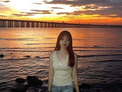 -宝安西湾红树林湿地公园