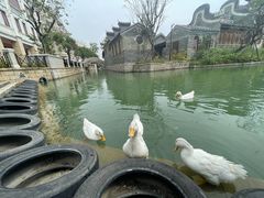 -赤坎·广东华侨国际旅游度假区