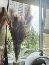 -E.beauty驻颜·痘敏肌调理中心