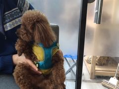 -爱侣宠医·鹦鹉专科·小型哺乳类·异宠专科(灵石路店)