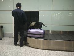 -温州龙湾国际机场