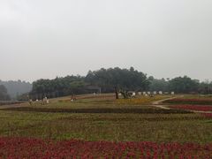 -保利石象湖景区