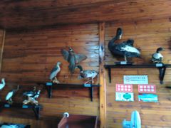 -南京金牛湖风景区