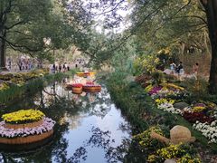 -上海共青森林公园