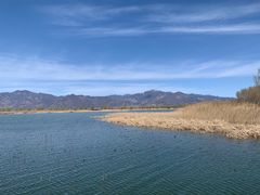 -野鸭湖国家湿地公园