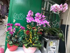 年花-公利真料竹蔗水(中环店)