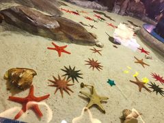 -福州罗源湾海洋世界旅游区