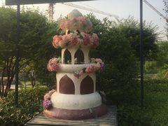 -大塘金香草谷