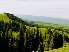 -新疆那拉提国家旅游度假区
