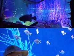 -沈阳海洋探索中心