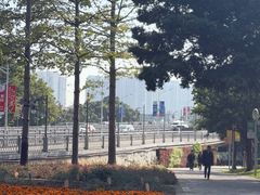 -裕华(南华东路店)