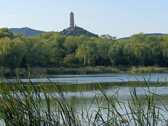 -北坞公园
