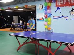 -腾翔乒乓球培训(亚运村店)